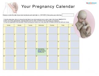 printable pregnancy calendar
