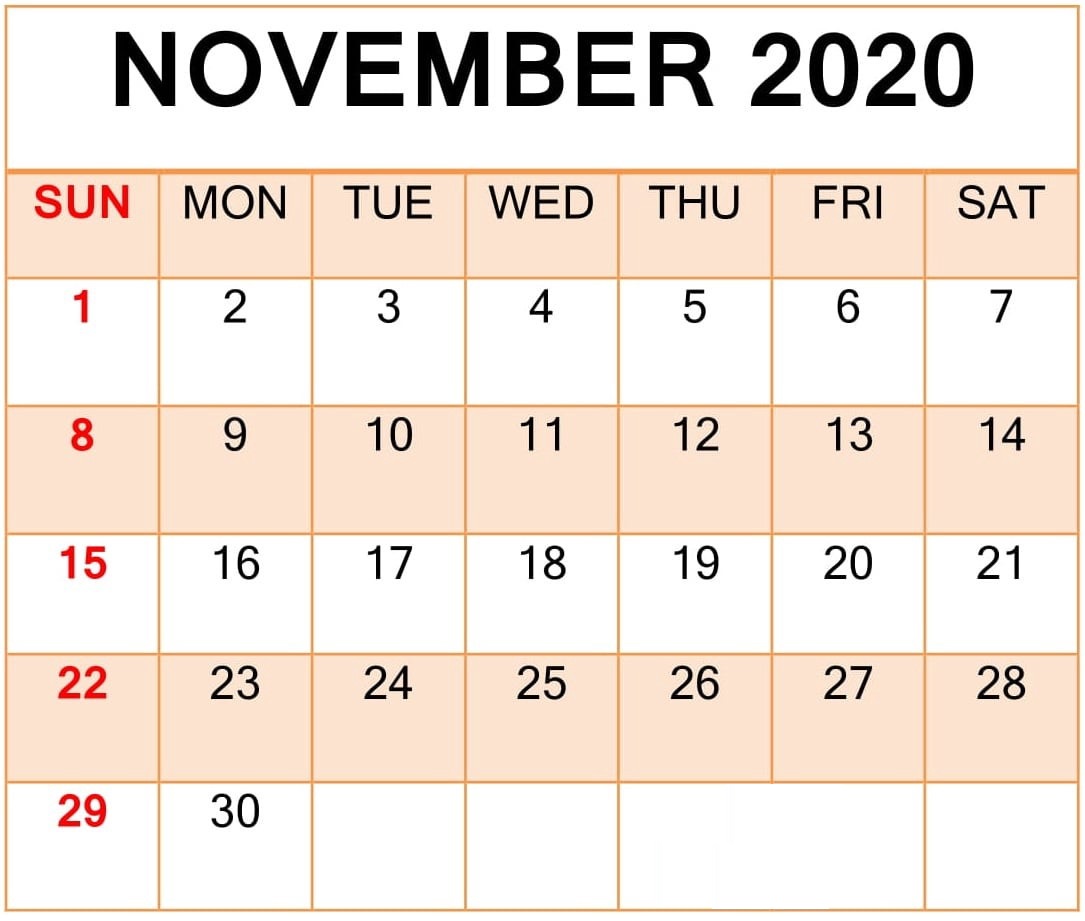 November 2020 Fillable Calendar