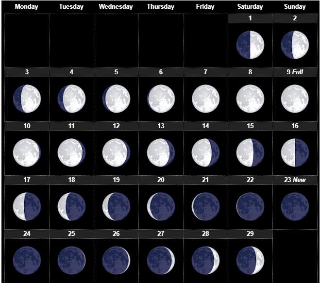 Lunar Calendar February 2020