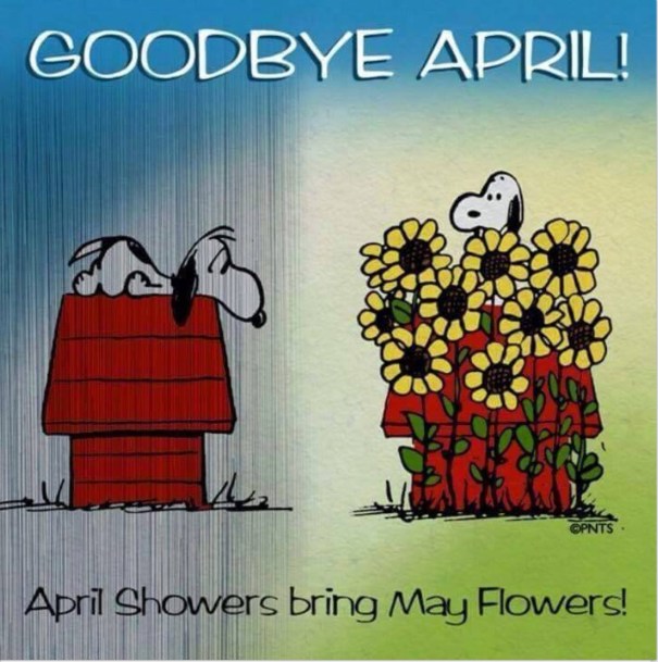 Goodbye April Hello May Images Clipart