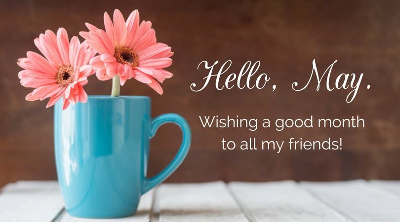 Hello May Quotes and Images